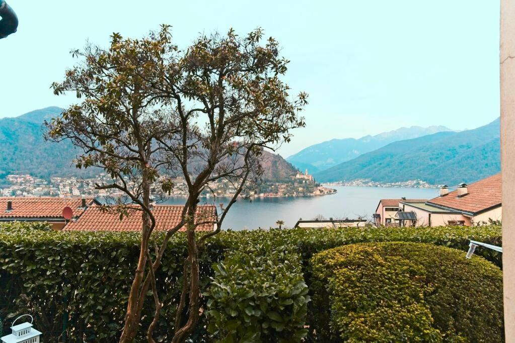 Miralago Lugano Sporting Club Apartment Cuasso Al Monte Ngoại thất bức ảnh